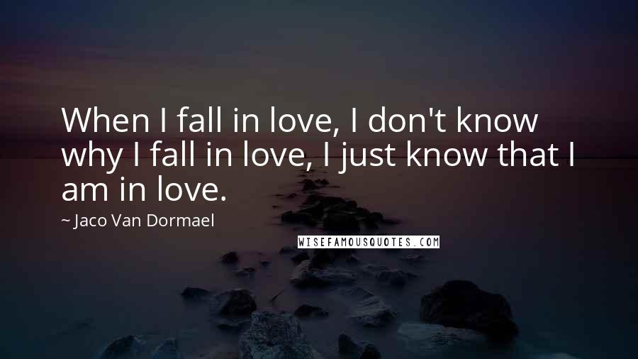 Jaco Van Dormael Quotes: When I fall in love, I don't know why I fall in love, I just know that I am in love.
