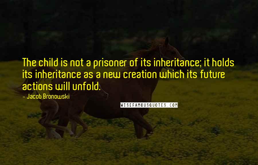 Jacob Bronowski Quotes: The child is not a prisoner of its inheritance; it holds its inheritance as a new creation which its future actions will unfold.