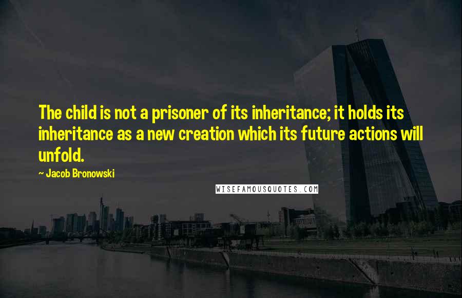 Jacob Bronowski Quotes: The child is not a prisoner of its inheritance; it holds its inheritance as a new creation which its future actions will unfold.