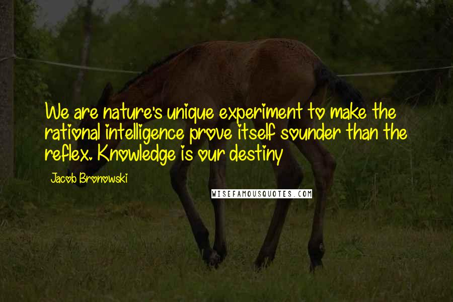 Jacob Bronowski Quotes: We are nature's unique experiment to make the rational intelligence prove itself sounder than the reflex. Knowledge is our destiny
