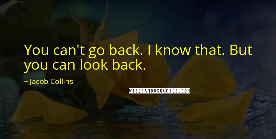 Jacob Collins Quotes: You can't go back. I know that. But you can look back.