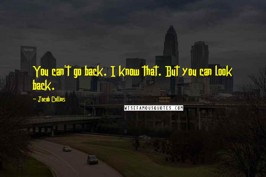 Jacob Collins Quotes: You can't go back. I know that. But you can look back.