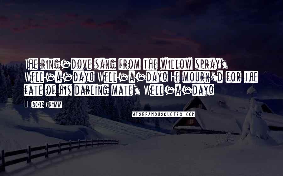 Jacob Grimm Quotes: The ring-dove sang from the willow spray, Well-a-day! Well-a-day! He mourn'd for the fate of his darling mate, Well-a-day!