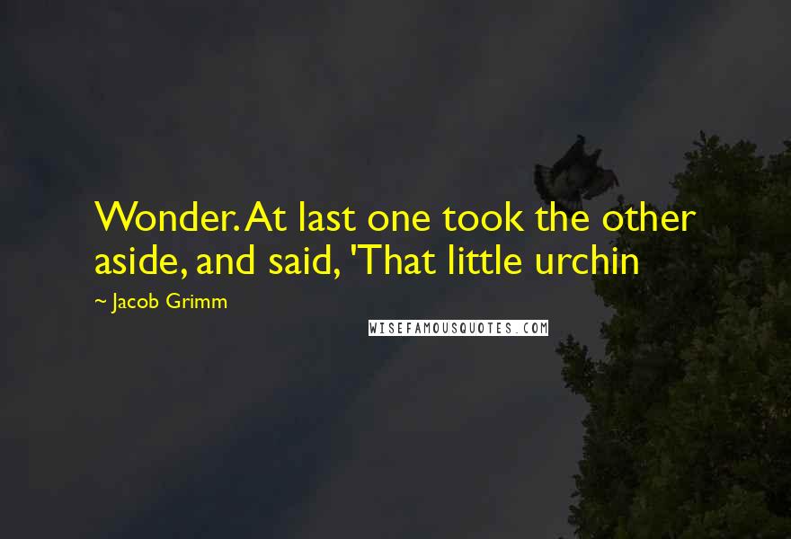 Jacob Grimm Quotes: Wonder. At last one took the other aside, and said, 'That little urchin