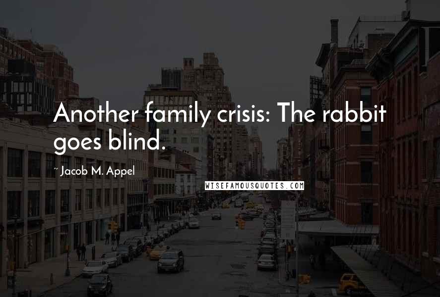 Jacob M. Appel Quotes: Another family crisis: The rabbit goes blind.