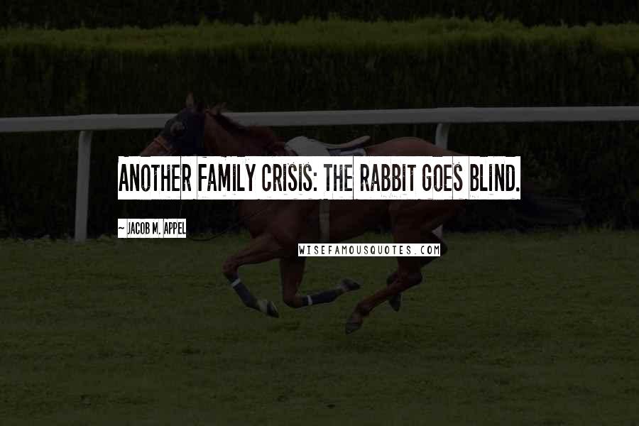 Jacob M. Appel Quotes: Another family crisis: The rabbit goes blind.