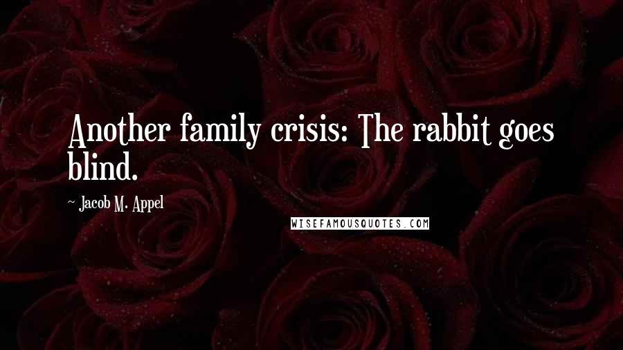 Jacob M. Appel Quotes: Another family crisis: The rabbit goes blind.