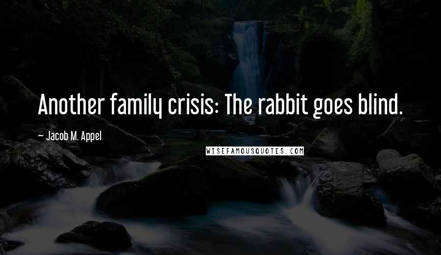 Jacob M. Appel Quotes: Another family crisis: The rabbit goes blind.