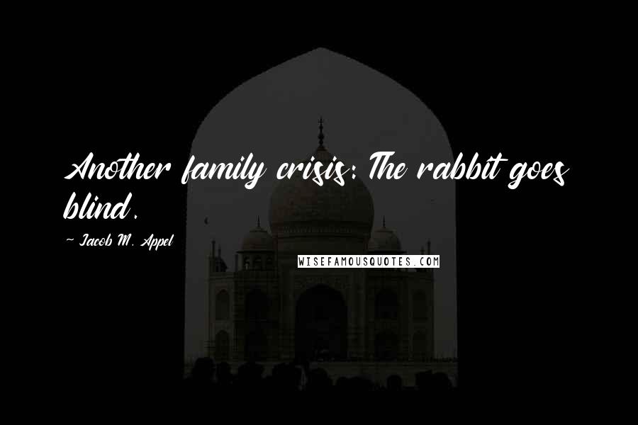 Jacob M. Appel Quotes: Another family crisis: The rabbit goes blind.