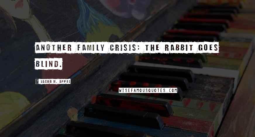 Jacob M. Appel Quotes: Another family crisis: The rabbit goes blind.