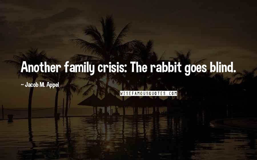 Jacob M. Appel Quotes: Another family crisis: The rabbit goes blind.