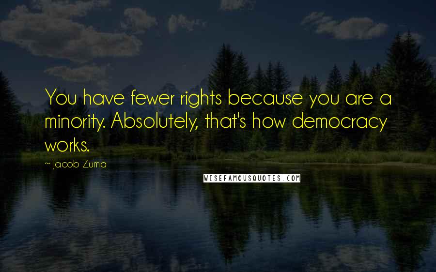 Jacob Zuma Quotes: You have fewer rights because you are a minority. Absolutely, that's how democracy works.