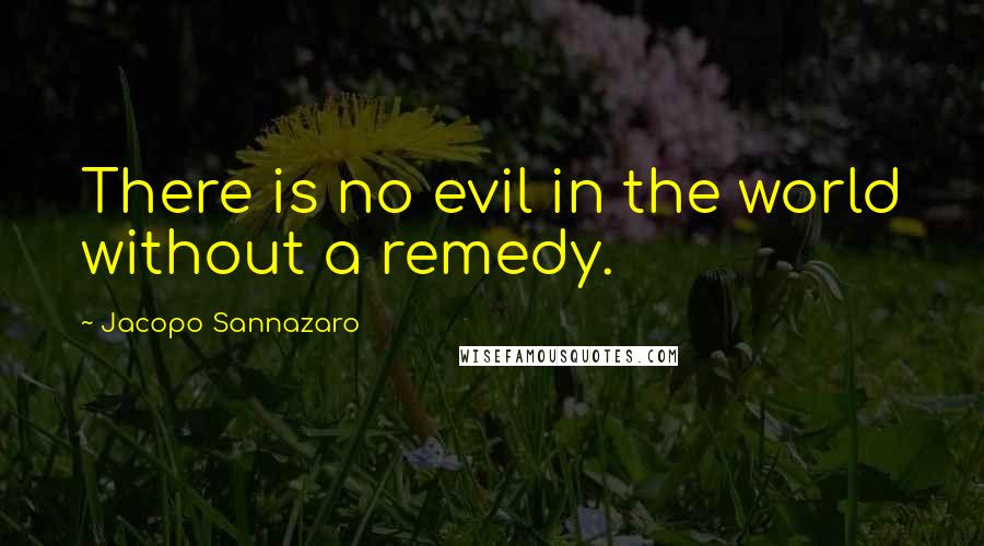 Jacopo Sannazaro Quotes: There is no evil in the world without a remedy.