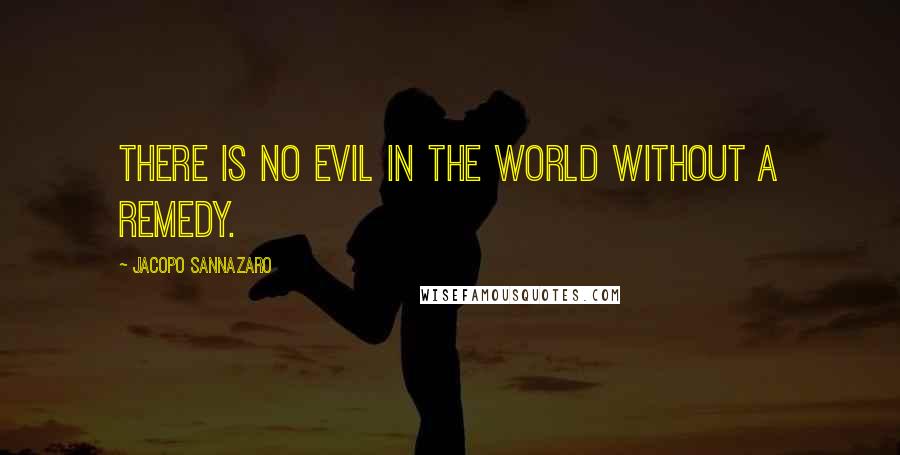 Jacopo Sannazaro Quotes: There is no evil in the world without a remedy.