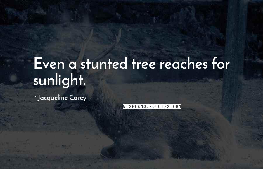Jacqueline Carey Quotes: Even a stunted tree reaches for sunlight.