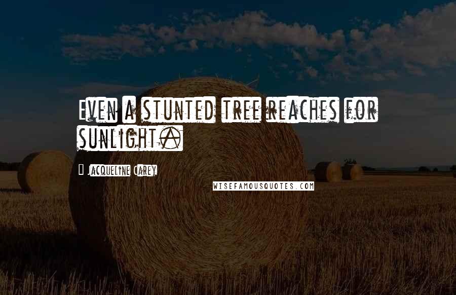 Jacqueline Carey Quotes: Even a stunted tree reaches for sunlight.