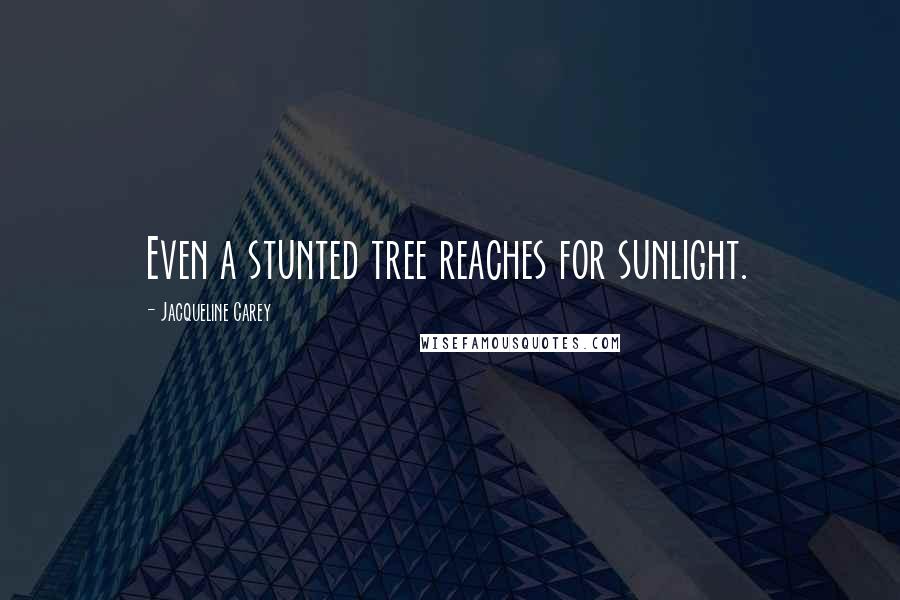 Jacqueline Carey Quotes: Even a stunted tree reaches for sunlight.