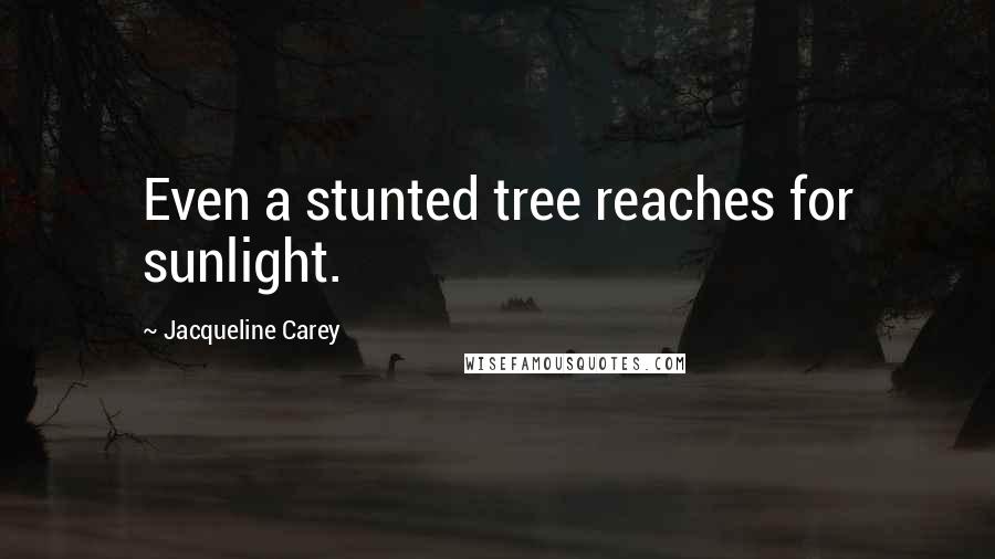 Jacqueline Carey Quotes: Even a stunted tree reaches for sunlight.
