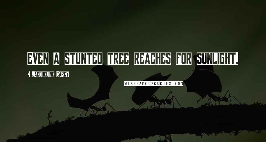 Jacqueline Carey Quotes: Even a stunted tree reaches for sunlight.