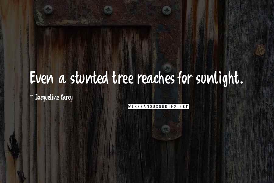 Jacqueline Carey Quotes: Even a stunted tree reaches for sunlight.