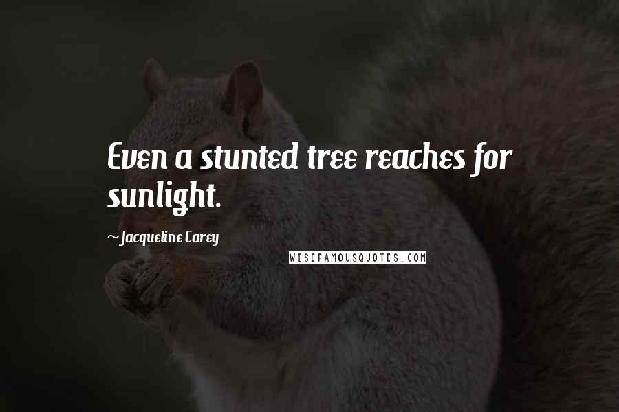 Jacqueline Carey Quotes: Even a stunted tree reaches for sunlight.