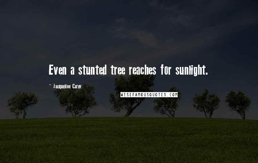 Jacqueline Carey Quotes: Even a stunted tree reaches for sunlight.