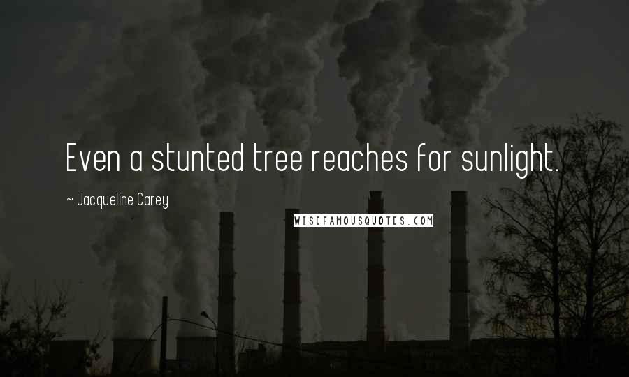 Jacqueline Carey Quotes: Even a stunted tree reaches for sunlight.