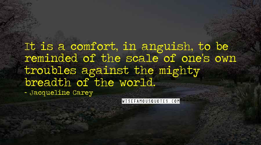 Jacqueline Carey Quotes: It is a comfort, in anguish, to be reminded of the scale of one's own troubles against the mighty breadth of the world.