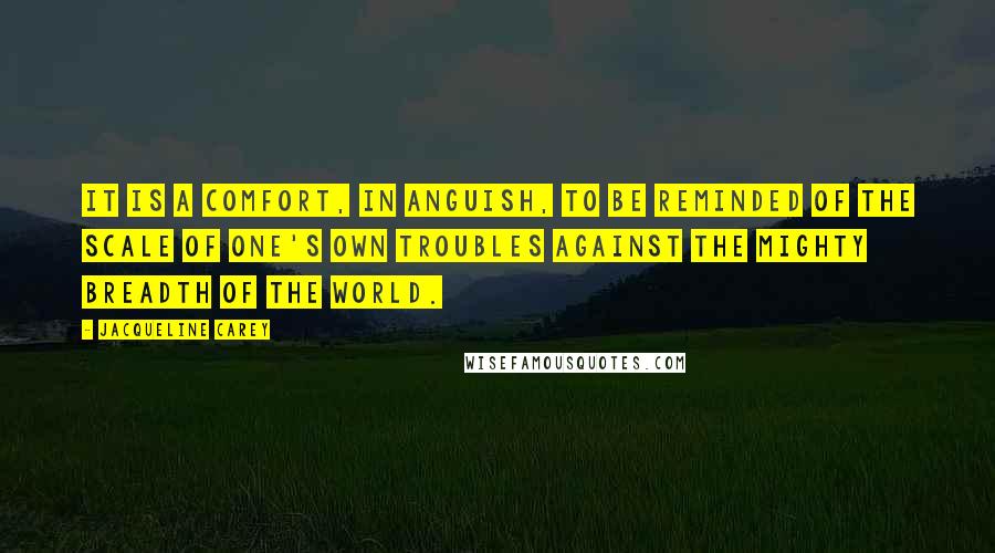 Jacqueline Carey Quotes: It is a comfort, in anguish, to be reminded of the scale of one's own troubles against the mighty breadth of the world.