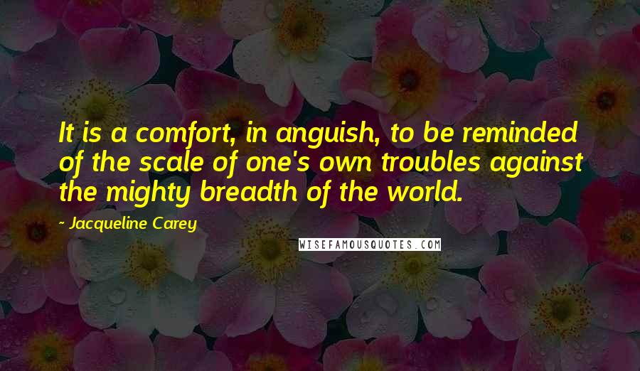 Jacqueline Carey Quotes: It is a comfort, in anguish, to be reminded of the scale of one's own troubles against the mighty breadth of the world.