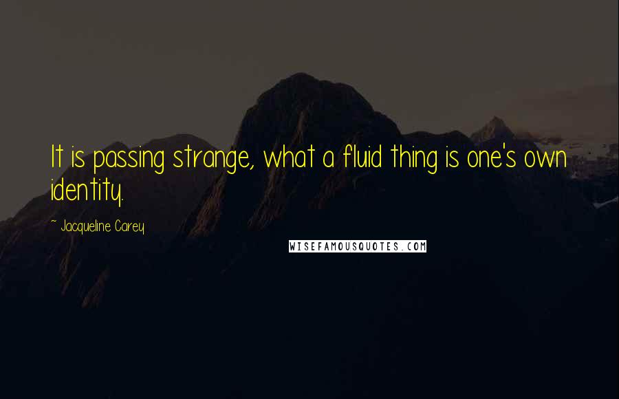 Jacqueline Carey Quotes: It is passing strange, what a fluid thing is one's own identity.