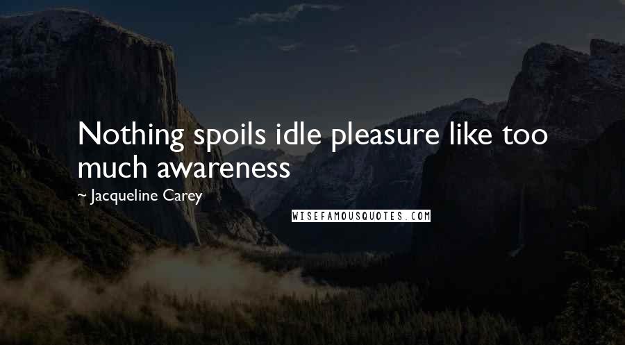 Jacqueline Carey Quotes: Nothing spoils idle pleasure like too much awareness