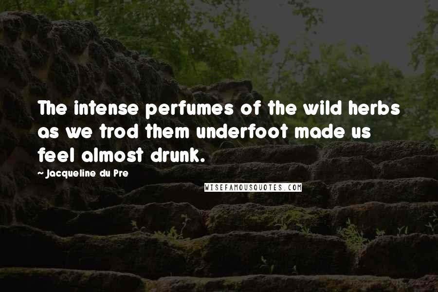 Jacqueline Du Pre Quotes: The intense perfumes of the wild herbs as we trod them underfoot made us feel almost drunk.