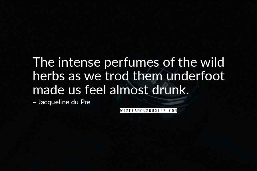 Jacqueline Du Pre Quotes: The intense perfumes of the wild herbs as we trod them underfoot made us feel almost drunk.
