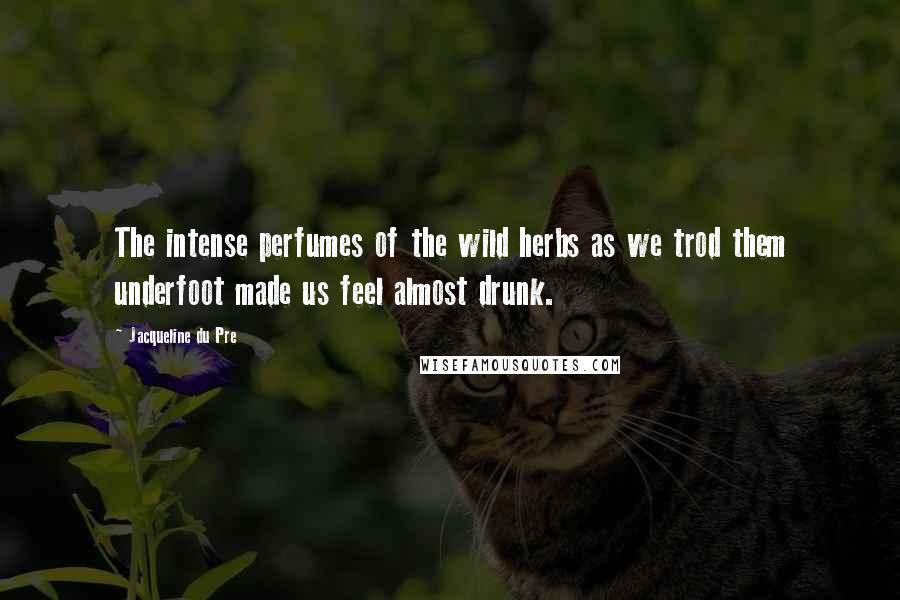 Jacqueline Du Pre Quotes: The intense perfumes of the wild herbs as we trod them underfoot made us feel almost drunk.