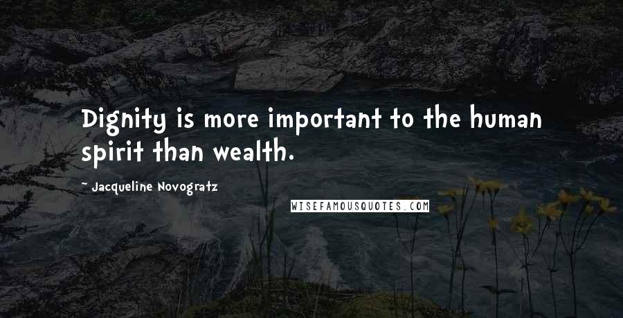 Jacqueline Novogratz Quotes: Dignity is more important to the human spirit than wealth.