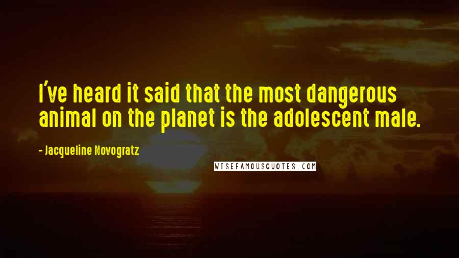 Jacqueline Novogratz Quotes: I've heard it said that the most dangerous animal on the planet is the adolescent male.