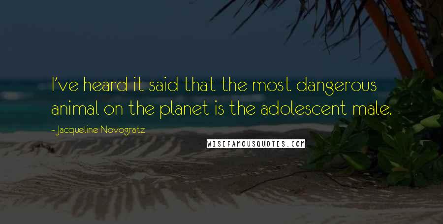 Jacqueline Novogratz Quotes: I've heard it said that the most dangerous animal on the planet is the adolescent male.
