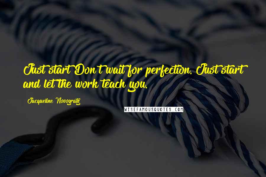 Jacqueline Novogratz Quotes: Just start Don't wait for perfection. Just start and let the work teach you.