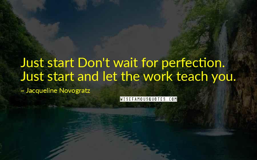 Jacqueline Novogratz Quotes: Just start Don't wait for perfection. Just start and let the work teach you.