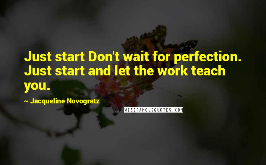 Jacqueline Novogratz Quotes: Just start Don't wait for perfection. Just start and let the work teach you.