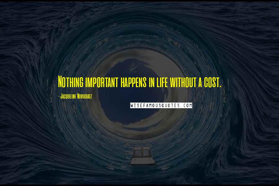 Jacqueline Novogratz Quotes: Nothing important happens in life without a cost.