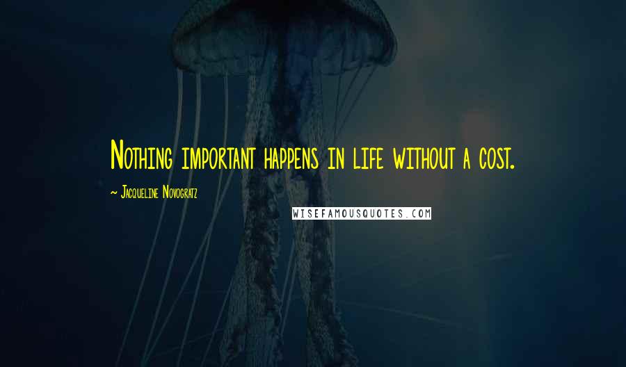 Jacqueline Novogratz Quotes: Nothing important happens in life without a cost.