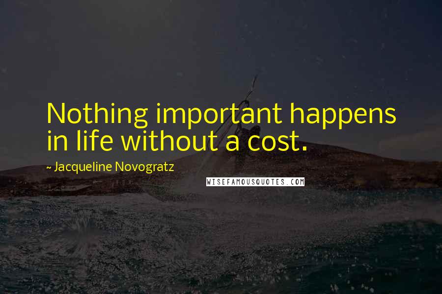 Jacqueline Novogratz Quotes: Nothing important happens in life without a cost.