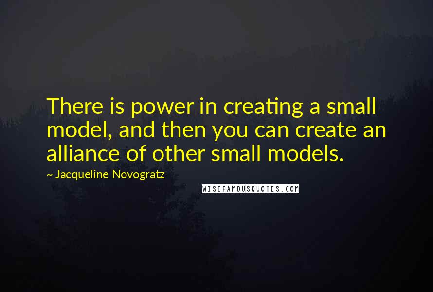 Jacqueline Novogratz Quotes: There is power in creating a small model, and then you can create an alliance of other small models.