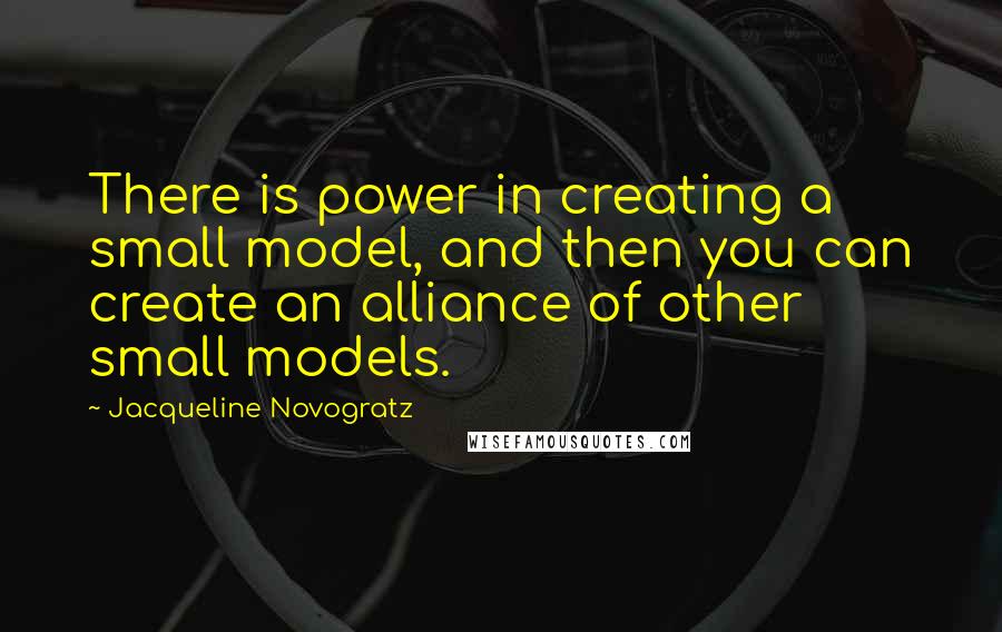 Jacqueline Novogratz Quotes: There is power in creating a small model, and then you can create an alliance of other small models.