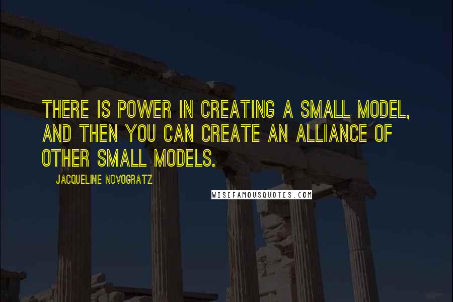 Jacqueline Novogratz Quotes: There is power in creating a small model, and then you can create an alliance of other small models.