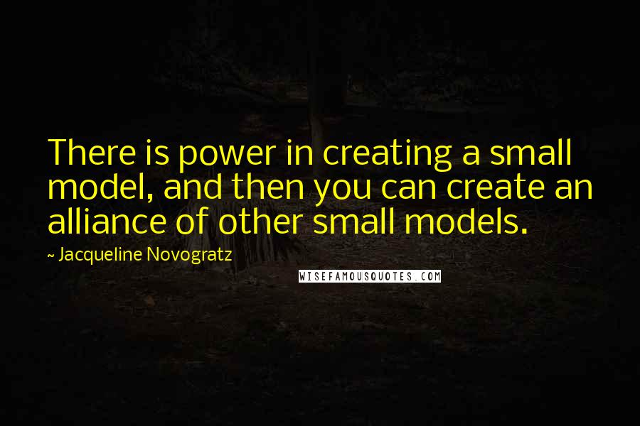 Jacqueline Novogratz Quotes: There is power in creating a small model, and then you can create an alliance of other small models.