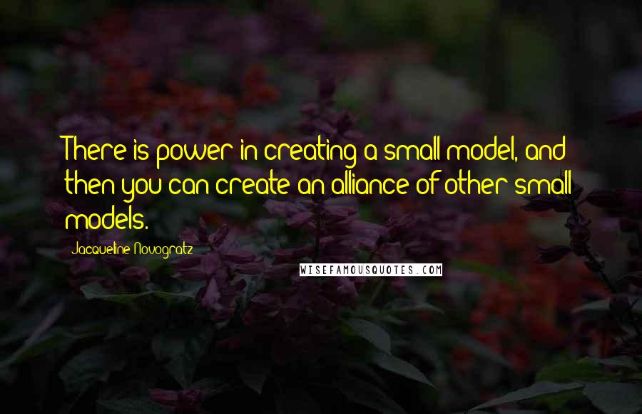 Jacqueline Novogratz Quotes: There is power in creating a small model, and then you can create an alliance of other small models.