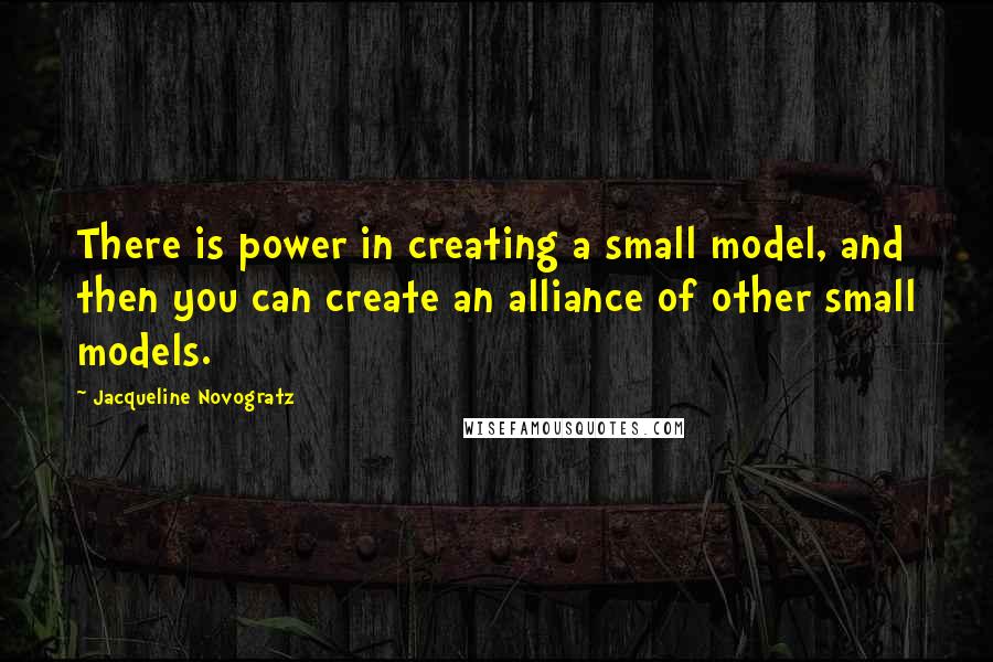 Jacqueline Novogratz Quotes: There is power in creating a small model, and then you can create an alliance of other small models.